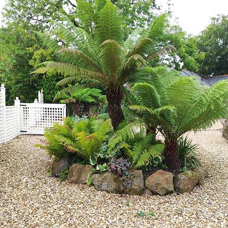 Pleasant Streams Barn Bed and Breakfast St Austell Exteriör bild