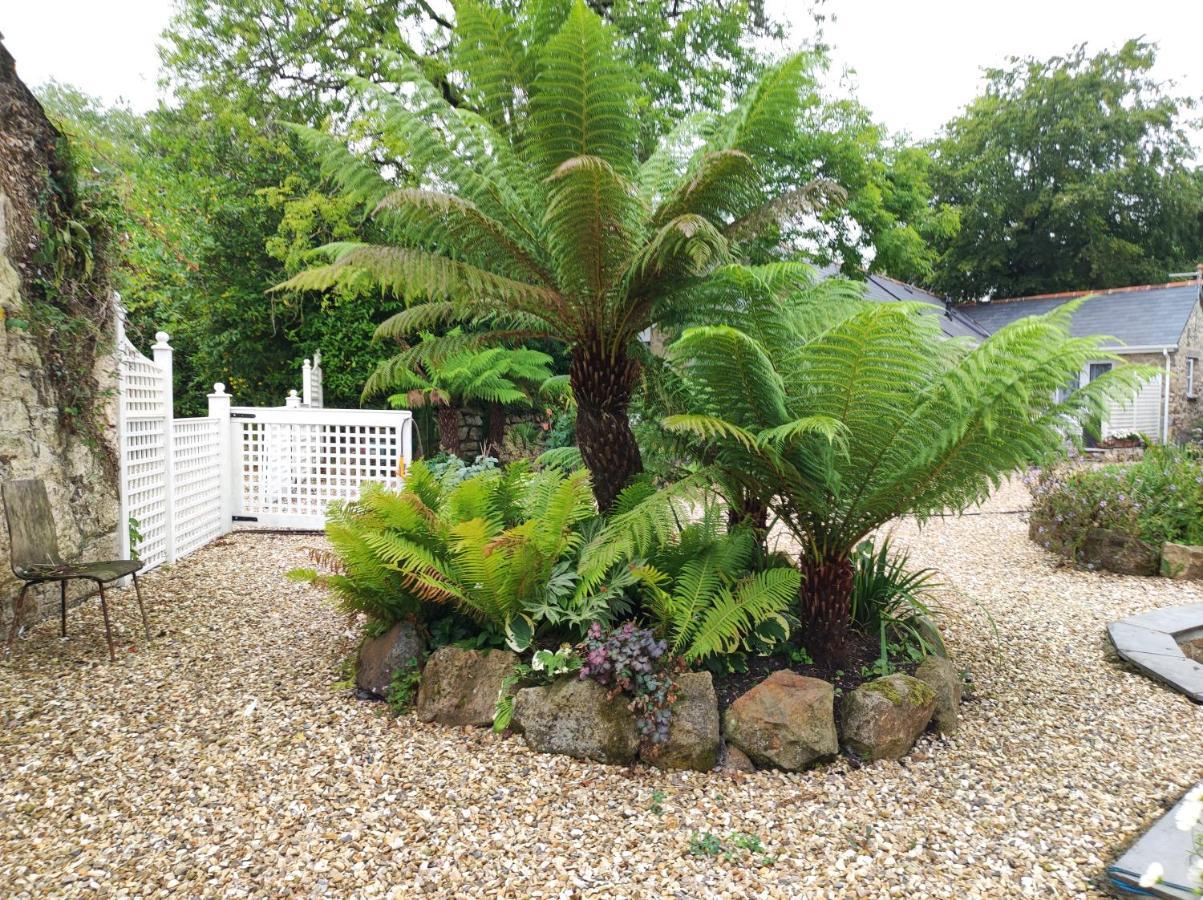 Pleasant Streams Barn Bed and Breakfast St Austell Exteriör bild
