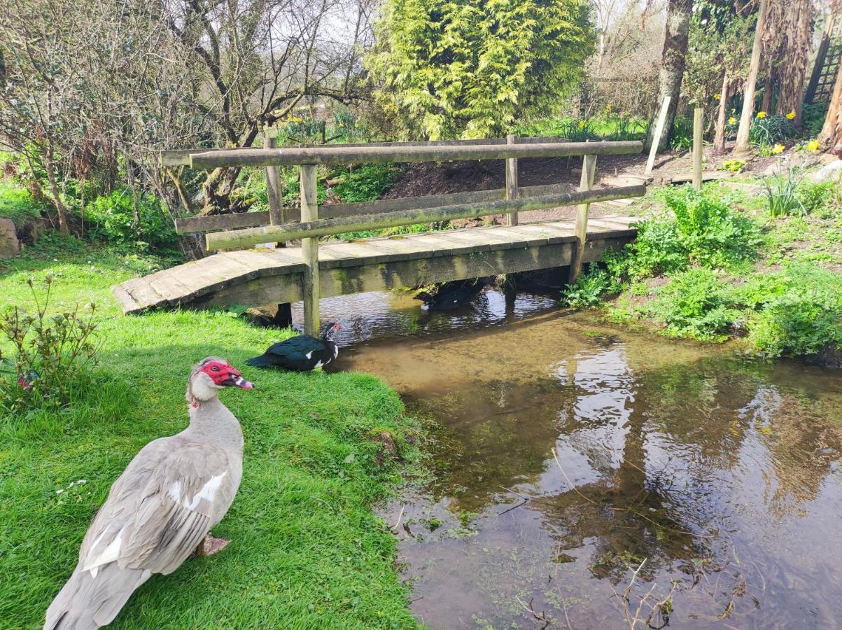 Pleasant Streams Barn Bed and Breakfast St Austell Exteriör bild